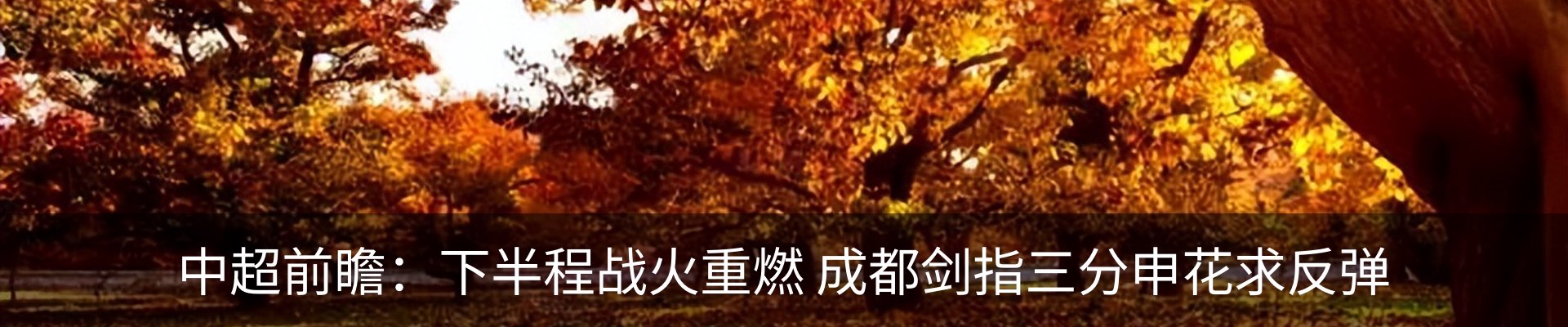 最新动态