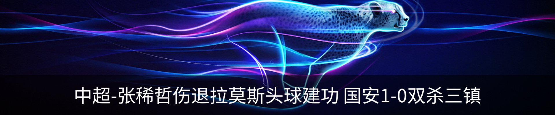 最新动态