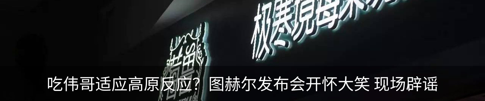 最新动态