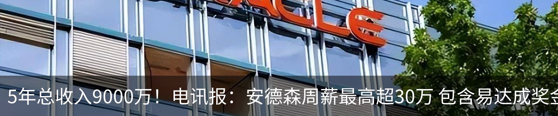 最新动态